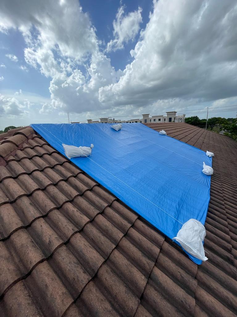 Blue roof tarp with sandbag anchors — city skyline visible in background
